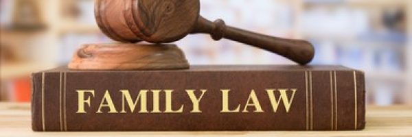 family-law-books-judges-gavel-260nw-408381889