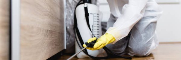 Woman exterminator in work wear spraying pesticide or insecticide with sprayer